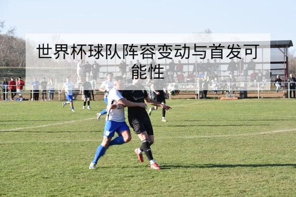 世界杯球队阵容变动与首发可能性