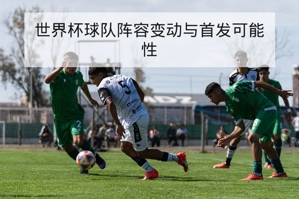 世界杯球队阵容变动与首发可能性
