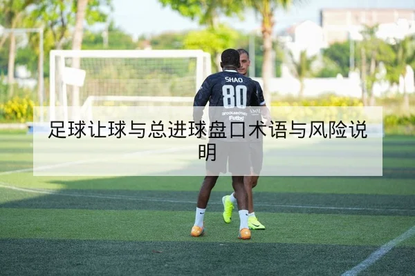 足彩让球胜平负基本规则与风险说明